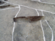 FileNo.158-016.jpg