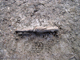 FileNo.158-023.jpg