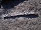 FileNo.158-024.jpg