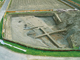 FileNo.158-025.jpg