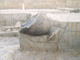 FileNo.158-038.jpg