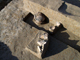 FileNo.158-039.jpg