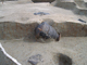 FileNo.158-042.jpg