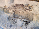 FileNo.158-047.jpg