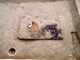 FileNo.158-069.jpg