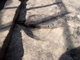 FileNo.158-072.jpg
