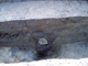 FileNo.158-073.jpg