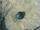 FileNo.158-081.jpg