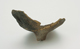 FileNo.158-114.jpg