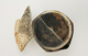 FileNo.158-129.jpg