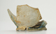 FileNo.158-138.jpg