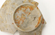FileNo.158-226.jpg