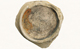 FileNo.158-229.jpg