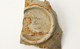 FileNo.158-234.jpg