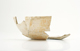FileNo.158-241.jpg