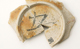 FileNo.158-248.jpg