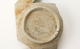 FileNo.158-255.jpg