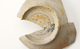 FileNo.158-259.jpg