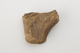 FileNo.1020_0064.jpg