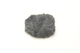 FileNo.1021_0003-2.jpg