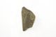 FileNo.1021_0009-4.jpg