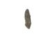 FileNo.1021_0010-1.jpg