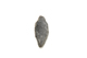 FileNo.1021_0011-1.jpg