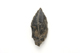 FileNo.1021_0013-1.jpg