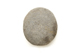 FileNo.1021_0022-1.jpg