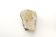 FileNo.1021_0031-1.jpg