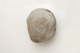 FileNo.1021_0040-3.jpg