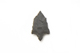 FileNo.1021_0042-1.jpg