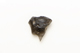 FileNo.1021_0042-10.jpg