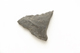 FileNo.1021_0042-7.jpg