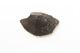 FileNo.1021_0044-4.jpg