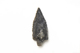 FileNo.1021_0048-1.jpg