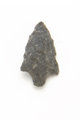 FileNo.1021_0050-6.jpg