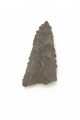FileNo.1021_0050-7.jpg