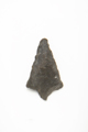 FileNo.1021_0052-3.jpg