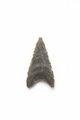FileNo.1021_0055-1.jpg