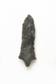 FileNo.1021_0055-5.jpg