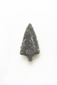 FileNo.1021_0055-6.jpg