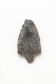 FileNo.1021_0055-8.jpg