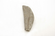 FileNo.1021_0056-15.jpg