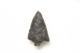FileNo.1021_0056-2.jpg