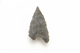 FileNo.1021_0056-6.jpg