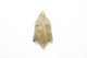 FileNo.1021_0057-12.jpg