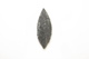 FileNo.1021_0057-14.jpg