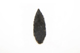 FileNo.1021_0057-16.jpg