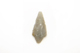 FileNo.1021_0057-22.jpg